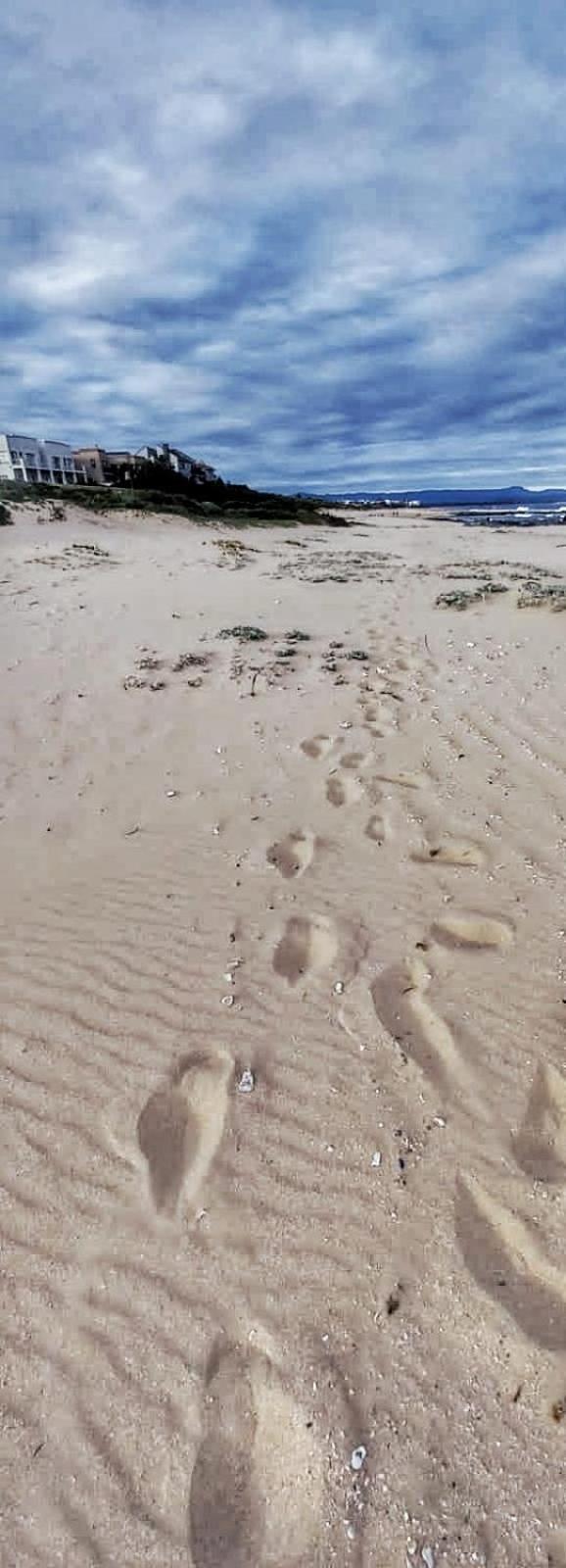 Sunset Sands خليج جيفري المظهر الخارجي الصورة